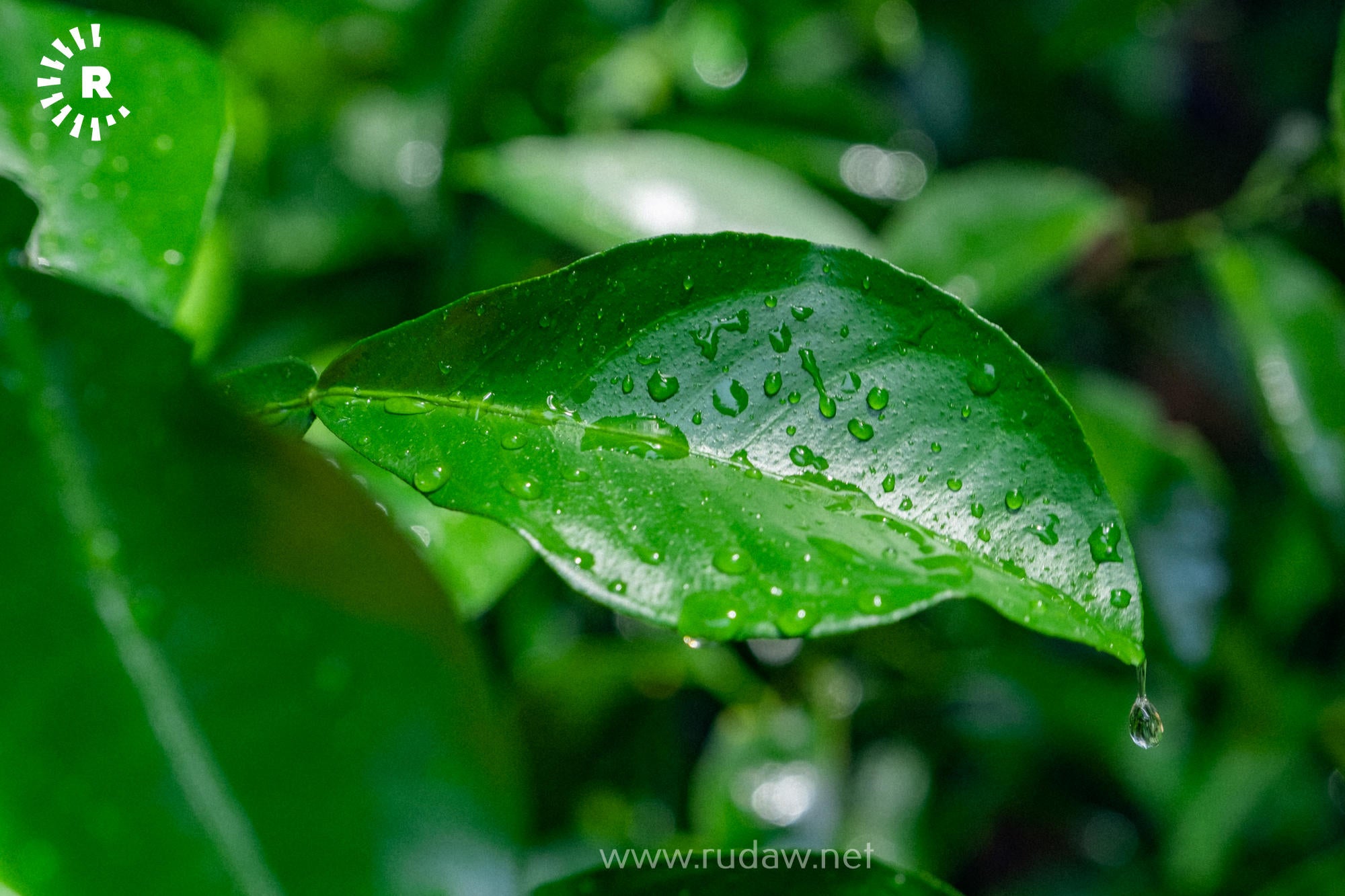 50-60 yoshli etuk ayollar bilan frantsuz pornosini tomosha qiling.